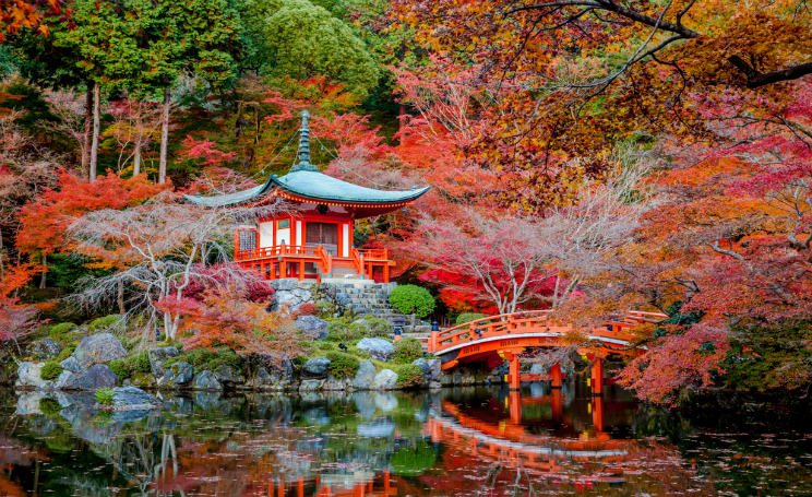 garden-zen