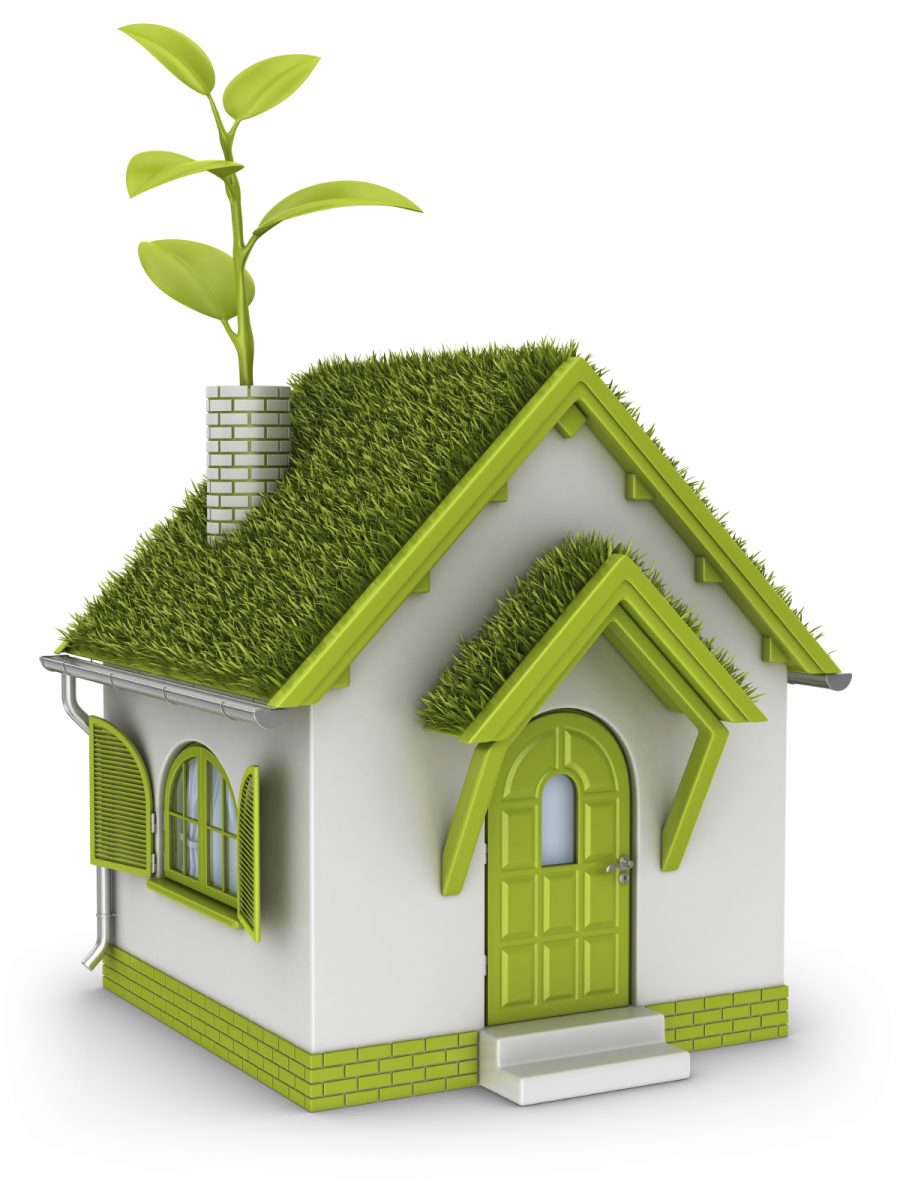 casa-ecologica