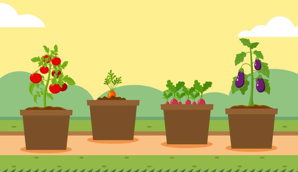 légumes