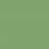 RAL 6021 - Verde Salvia